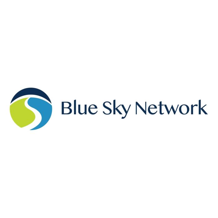 BSN-NAL 400002-150 Skylink Citadel Cable, 150' (400002-150)