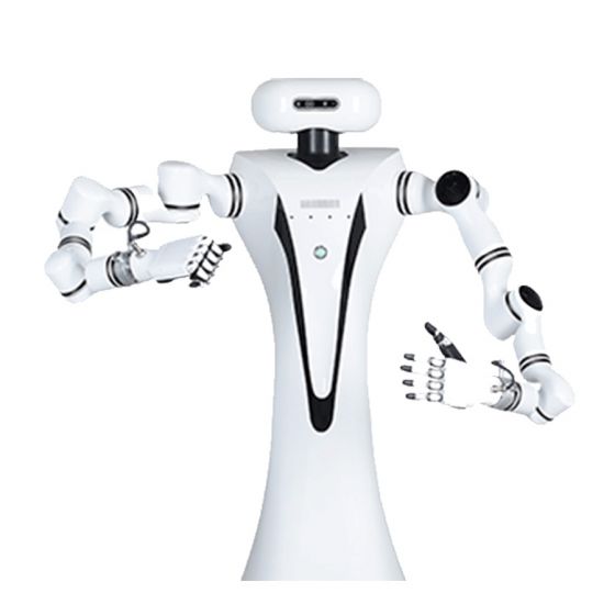 Realman Robotics Dual Arm Compound Robot (RMC-DA)